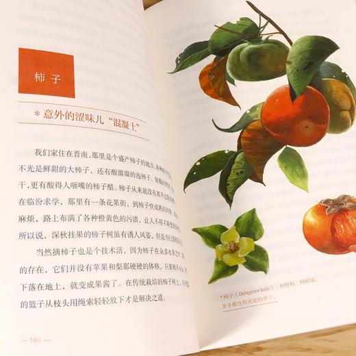植物学家的筷子和银针 史军 图文详解50余种聪明的植物毒理特性及正确食用方式 商品图5