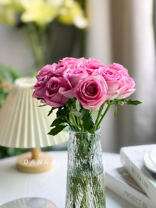 【AB级苏醒玫瑰.第二份减10元】10支/份 长约60cm 商品图5