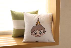 精致抱枕一个 勿拍 （积分兑换）