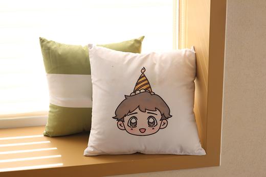 精致抱枕一个 勿拍 （积分兑换） 商品图0