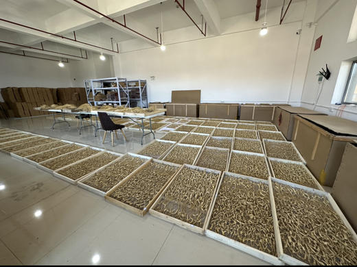 【容德嚴選】15年＋的林下野山参粉 商品图6