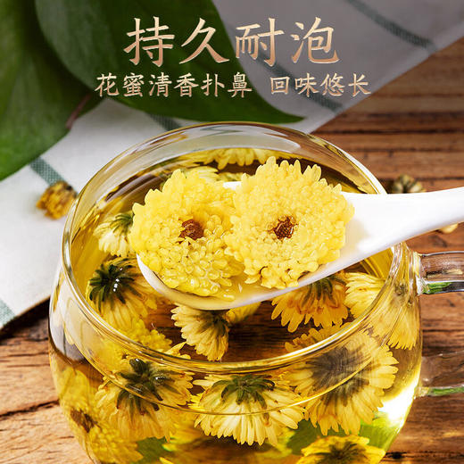 【桐乡头采韩宝嫩蕾胎菊】自然晒干胎菊保留花朵本味，菊香四溢色泽金黄花蜜清香，菊花茶散装杭白菊胎菊王无硫产地泡水泡茶降火QQ 商品图2