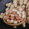 椰妃   冻干花生米  酥脆清香 酒友新宠 冻干花生每袋200克 商品缩略图5