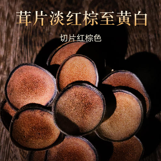 【正宗同仁堂品牌】北京同仁堂 鹿茸粉片40克 泡酒料 可磨粉 礼盒装SY 商品图3