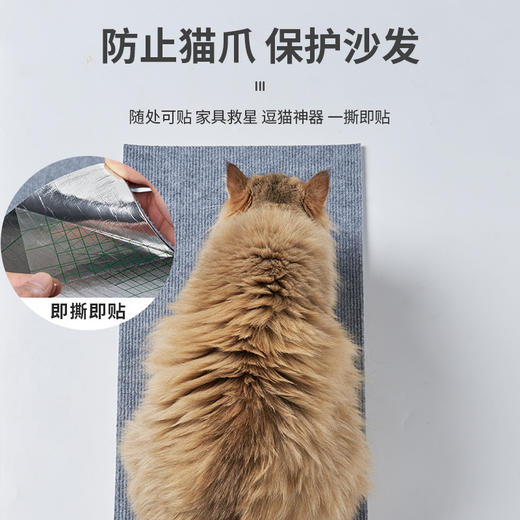 【保护沙发！猫咪攀爬贴】宠物猫爬垫逗猫神器可剪贴diy耐磨猫爬贴不掉屑猫咪攀爬贴猫抓垫，一件多用，磨爪攀爬两不误。ry 商品图2