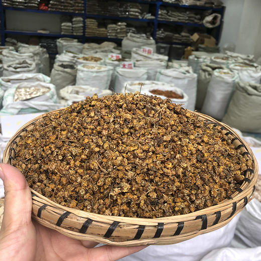 野菊花  野外采收野菊花 色泽自然 商品图1