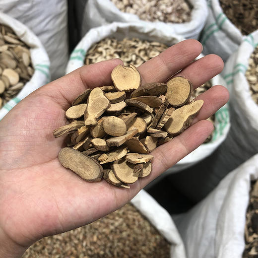 乌药   台乌 当季新货中药材 商品图4