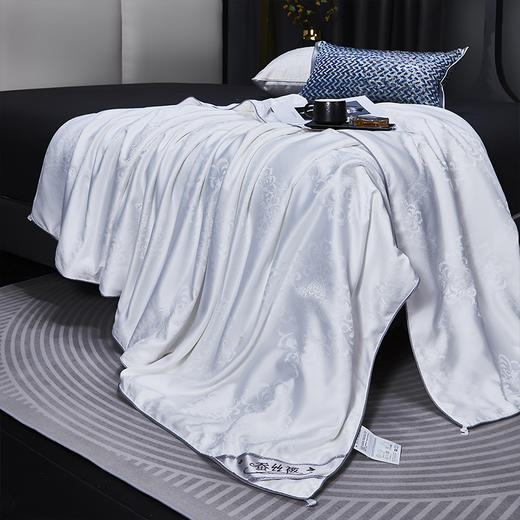 红蜻蜓家纺被子100%蚕丝被春秋被学生宿舍被芯夏被空调被-御品蚕丝被 200*230cm 商品图1