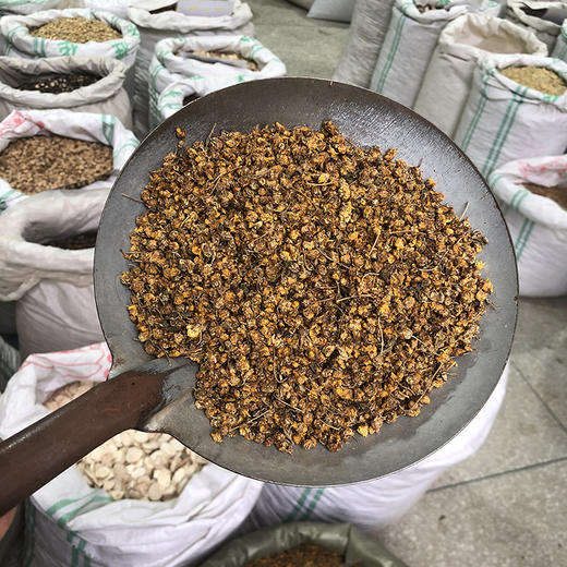 野菊花  野外采收野菊花 色泽自然 商品图2