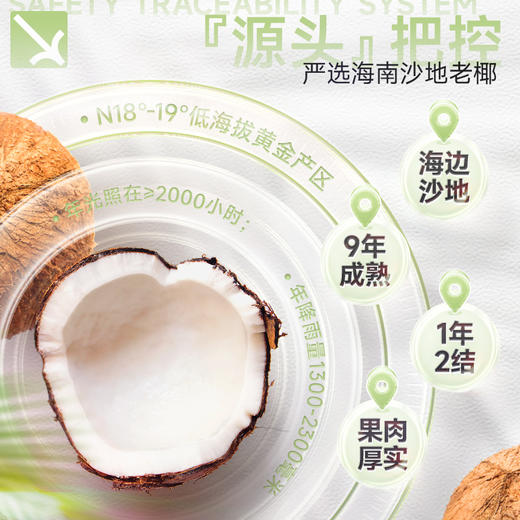 南国食品纯椰子粉308gX3 商品图4