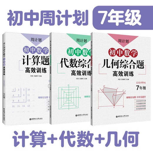 周计划：小学语文基础知识+阅读强化训练 2册 数学计算应用题 2册 初中数学 3册 商品图2