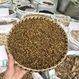 野菊花  野外采收野菊花 色泽自然