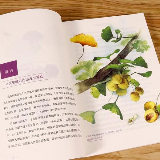 植物学家的筷子和银针 史军 图文详解50余种聪明的植物毒理特性及正确食用方式 商品图3