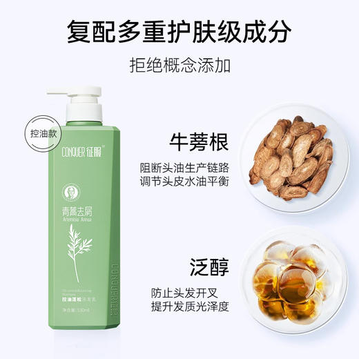 【2024】征服新升级2代青蒿洗发乳、生姜强韧去屑净爽控油蓬松系列、润肤沐浴露护发素改善脆弱发质受损发丝洗发水(下单送小样*2) 商品图7