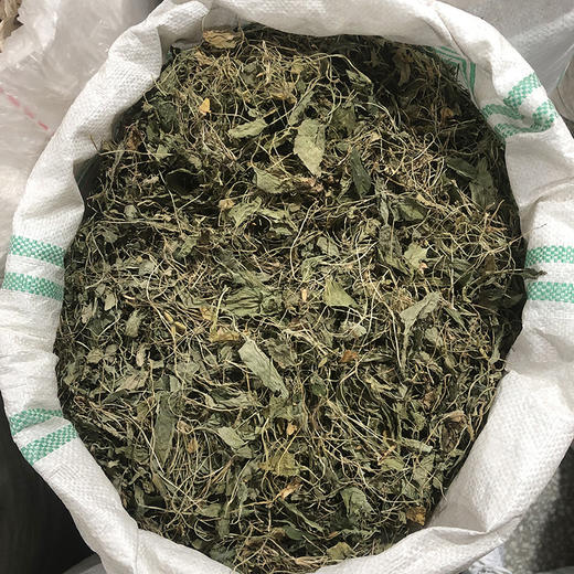 紫花地丁 当季新货 农家生晒中药材 商品图3