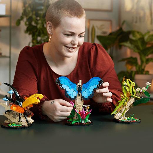 乐高积木L21342DOTS系列虫蝴蝶中华大刀螳 商品图2