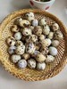 鹌鹑蛋｜营养密度高｜不吃成品饲料｜170多项农残检测未检出｜珠海顺丰 商品缩略图4