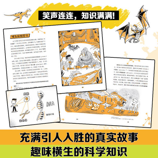 你到底从哪儿来？人类起源的故事 商品图2