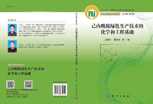 己内酰胺绿色生产技术的化学和工程基础/宗保宁 商品图3