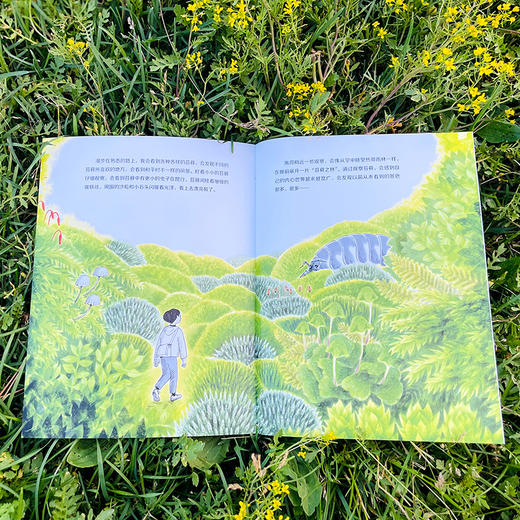 大科学之友经典科普书:如果我是达尔文 7册 赠软沙包  接力社 商品图5