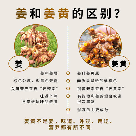 【人间喜物】有机姜黄粉 做菜加一点 芳香加倍  不添加 商品图2