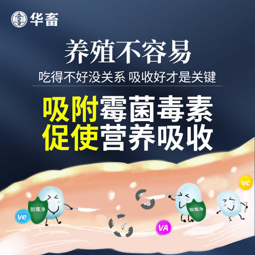 华畜脱霉剂10kg 高纯度蒙脱石 纳米技术吸附率更高脱霉更彻底 营养不流失 长期使用增加免疫 商品图3