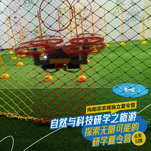 6天5晚 / 自然与科学研学之旅 商品图9