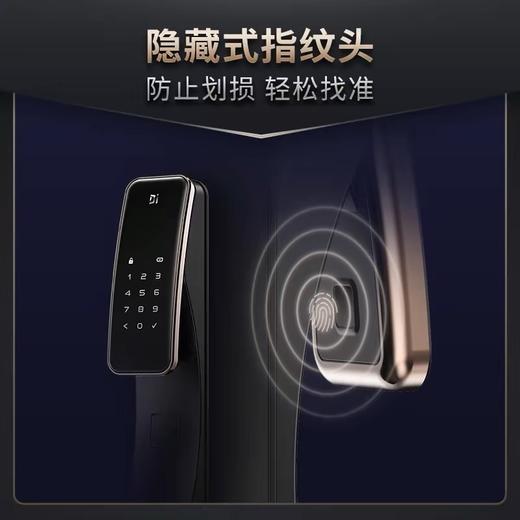 LR【德施曼Q2指纹密码锁家用防盗门全自动智能锁】DSM 商品图3