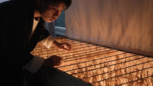 【容德嚴選】15年＋的林下野山参粉 商品图4