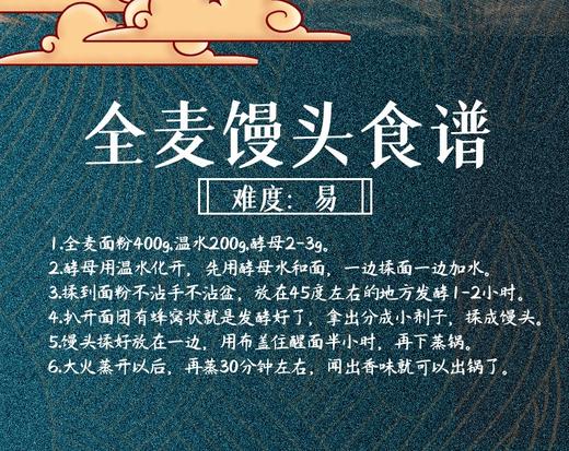 金沙河5kg 臻品贵族全麦粉（塑包） 商品图5