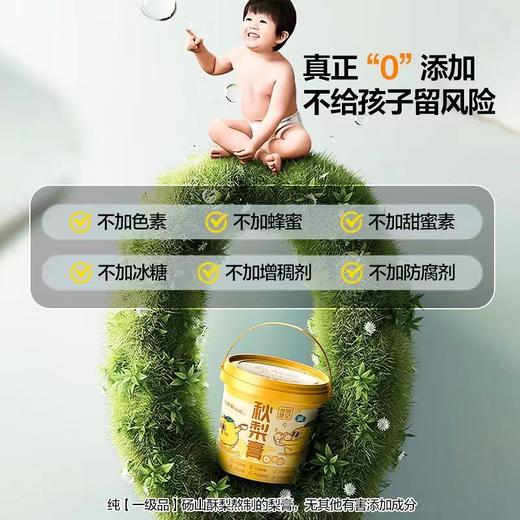 龙润堂记秋梨膏 清润纯梨膏冲饮独立便携装210g*2桶 商品图2