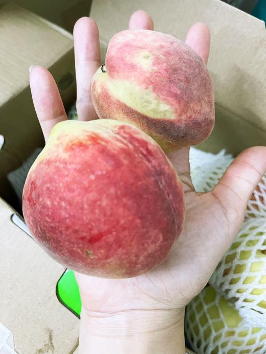 翁源鹰嘴桃|清新果味，纯甜，果园现摘现发 商品图7