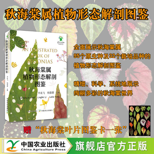 秋海棠属植物形态解剖图鉴【赠“秋海棠叶片图鉴卡一张”】（ 中国农业出版社官方正版，可开发票 ） 商品图3