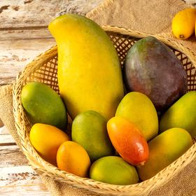 攀枝花芒果盒子|花1份钱吃3种以上贵价芒果！软嫩香甜，水润多汁似果冻