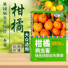 柑橘病虫害绿色防控彩色图谱 【官方正版，可开发票，下单时留开票信息和电子邮箱】 商品缩略图0