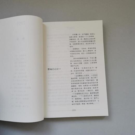 贾梅日记 商品图1