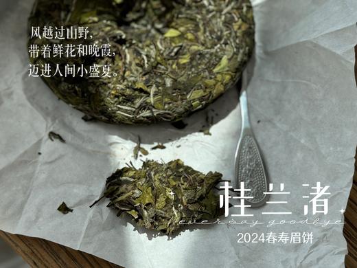 【好茶来了】花香更艳，等级和香气、滋味都更胜往年的2024春寿眉饼《桂兰渚》 商品图13
