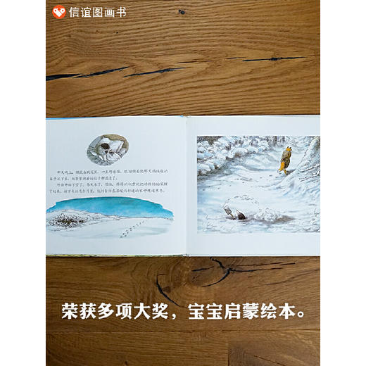 《獾的礼物》生死教育绘本，与动物们一起，把对死亡的悲观和恐惧转化成对生命的热爱，荣获英国鹅妈妈童书奖（3-6岁） 商品图3