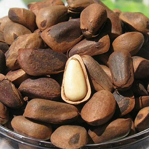 辽蓟 有机笑口红松子 230g罐装 商品图2