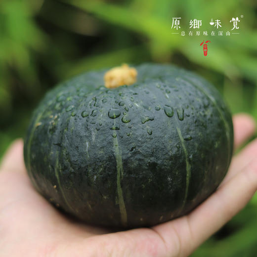有机贝贝南瓜（基地直发-中通包邮）| 4.8斤装±50g，来自河南南召，生产者：李鹏【合作生产，公平贸易】 商品图1