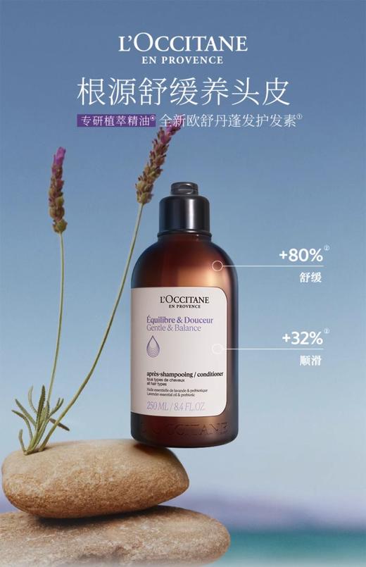 L'OCCITANE 欧舒丹 草本香菁纯平衡护发素 商品图0