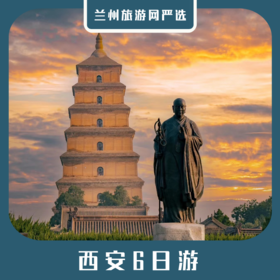 【西安6日】秦兵马俑+唐华清宫+大唐不夜城+乾陵+法门寺+大慈恩寺+大雁塔+回民街+黄帝陵+壶口瀑布+延安6日
