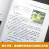 全图解柑橘生产痛点难点及解决方案【官方正版，可开发票，下单时留开票信息和电子邮箱】 商品缩略图2