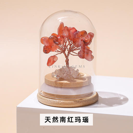 【你不发财谁发财！】这颗小树真的好灵啊，晶典珠宝天然水晶碎石许愿瓶，招财聚宝盆装饰发财树桌面办公摆件水晶工艺品QQ 商品图9