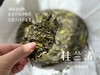 【好茶来了】花香更艳，等级和香气、滋味都更胜往年的2024春寿眉饼《桂兰渚》 商品缩略图4