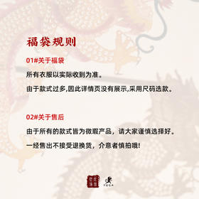 壁虎盲盒