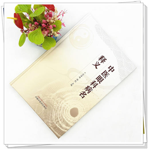 中医眼科病名释义 亢泽峰 邢凯 主编 中国中医药出版社 商品图1