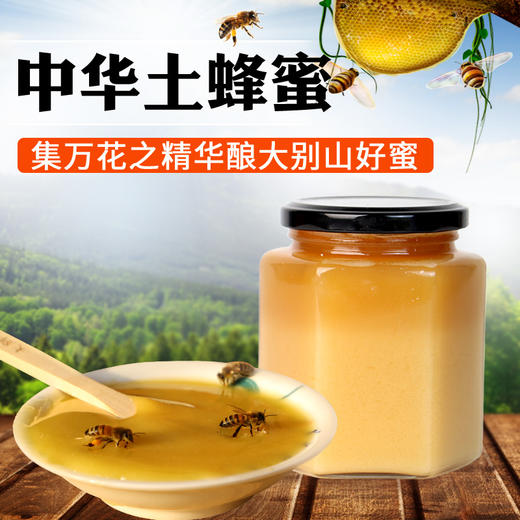 土蜂蜜 500g【MC】 商品图2