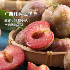 产地直发 | 广西桂林三华李 新鲜李子 早李 应季现摘现发 三华李