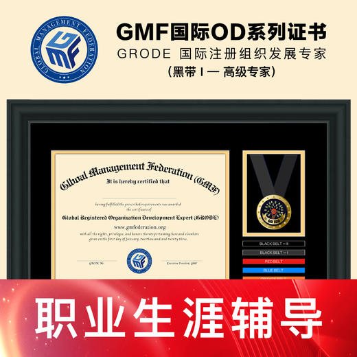组织发展(OD)职业生涯辅导 商品图0